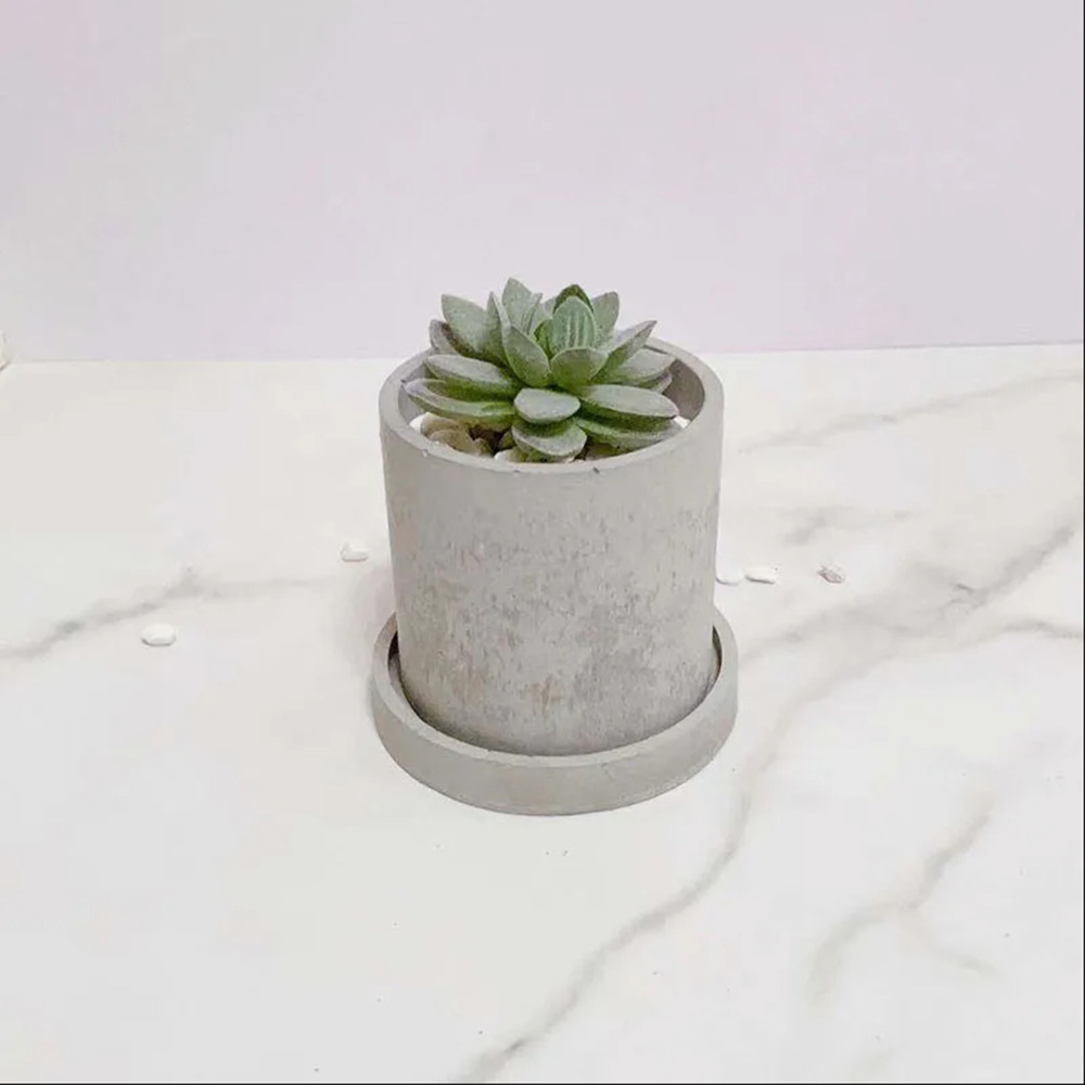 Çimento Saksıları için Silikon - Terrazzo Pot Cement incelemesi ve fiyatı