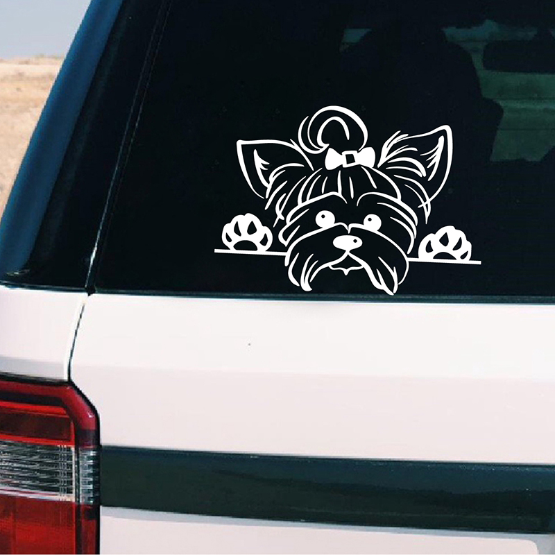 Yorkshire Terrier vinil yapışk - Interior Design Magazine incelemesi ve fiyatı